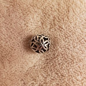 COPY - Pandora Charm